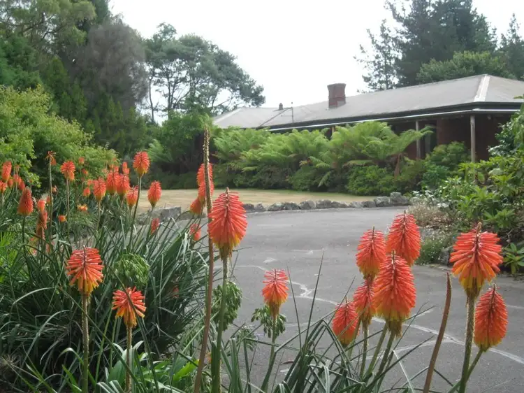 Fifth view of Homely house listing, 339 Paling Track, Bangor TAS 7267