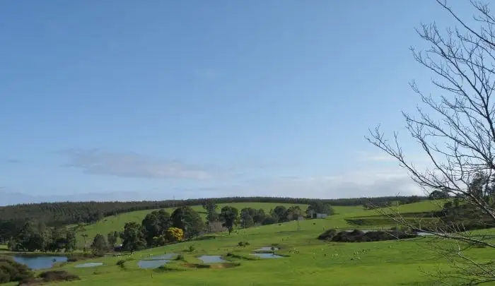 Lot 2 Gold Gully Road, Nannup WA 6275
