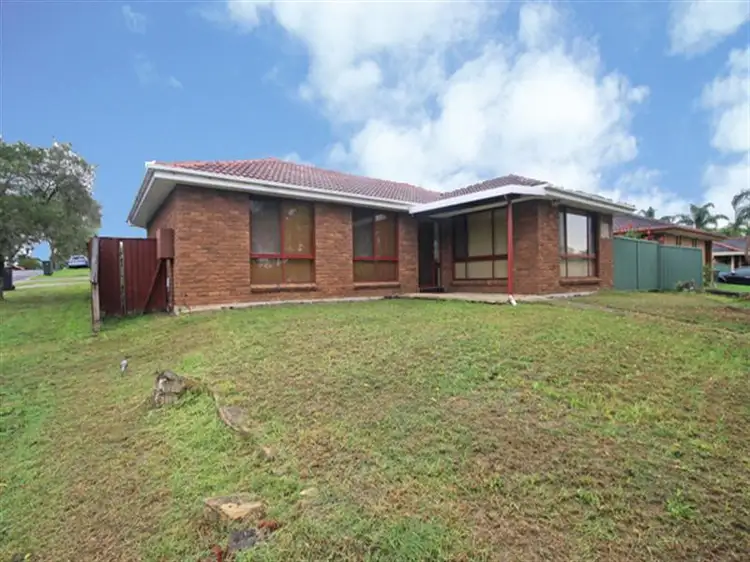 Main view of Homely house listing, 10 Adrian Street, Macquarie Fields NSW 2564