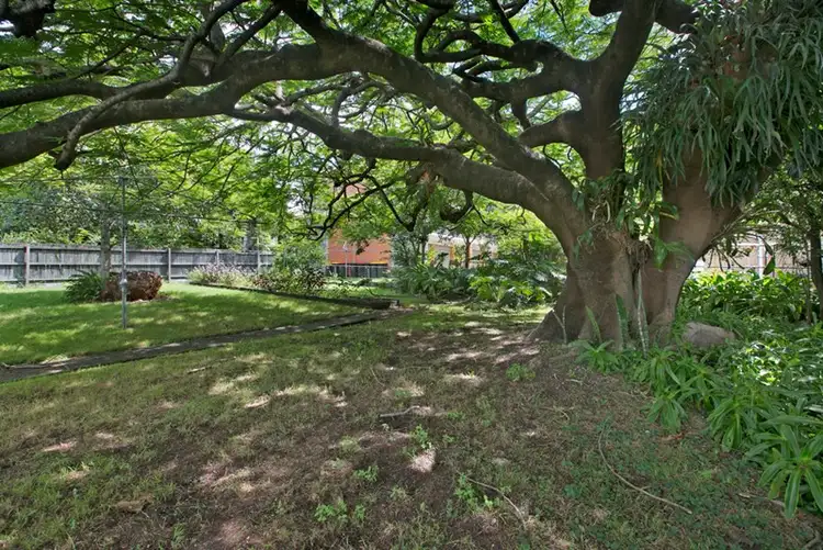 Fourth view of Homely house listing, 66 Woodhill Avenue, Coorparoo QLD 4151
