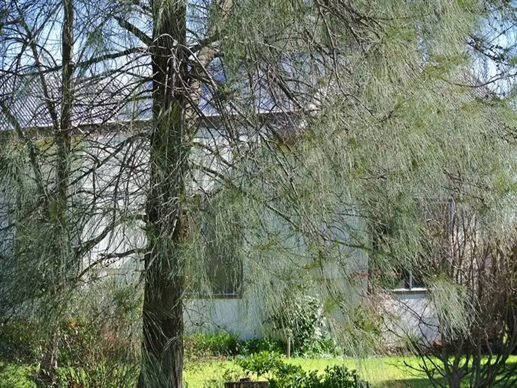 Seventh view of Homely rural property listing, Farm 1438 Kearey Road, Bilbul NSW 2680