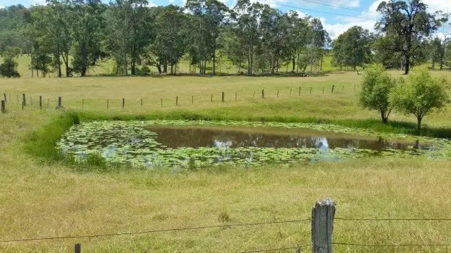 Sixth view of Homely house listing, 333 Alison Road, Dungog NSW 2420