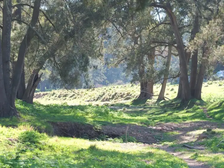 Sixth view of Homely rural property listing, Lot 2 O''Connell Plains Road, O'connell NSW 2795