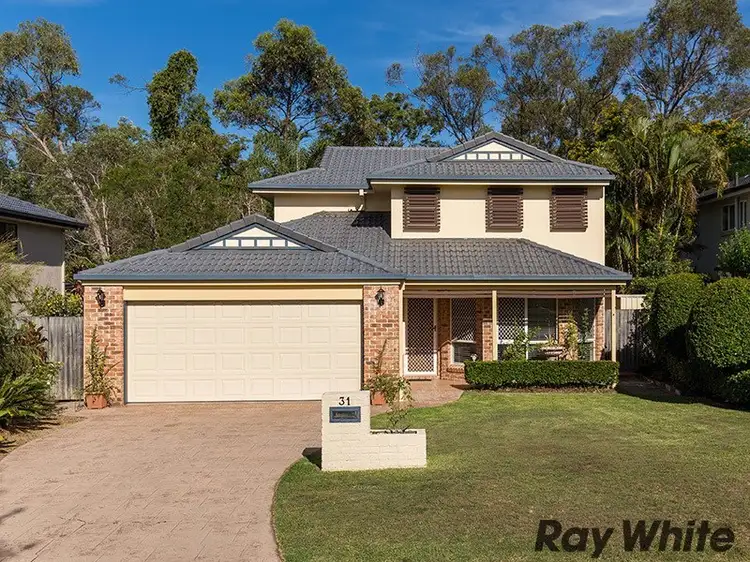 Main view of Homely house listing, 31 Cottonwood Crescent, Calamvale QLD 4116
