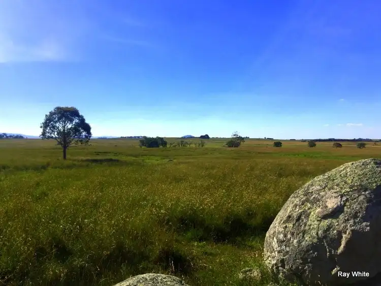 Sixth view of Homely rural property listing, 584 Tudor Valley, Braidwood NSW 2622