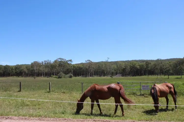 Fourth view of Homely land listing, Lot 206 Church Street, Carrington NSW 2324