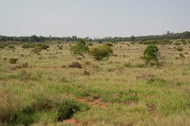 Second view of Homely rural property listing, 0 GLENMORE, Surat QLD 4417