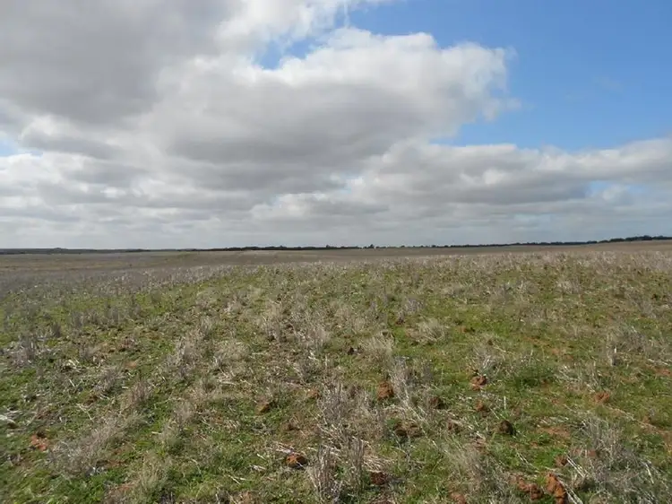 Sec. 118 Kulkami - Mulpata Road, Lameroo SA 5302
