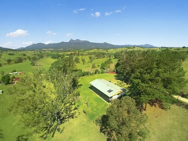 Second view of Homely rural property listing, 118 Hoggs Road, Tyalgum NSW 2484
