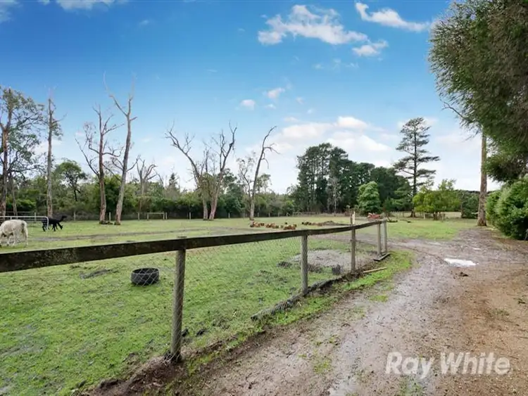 Fifth view of Homely rural property listing, 31 Boes Road, Tyabb VIC 3913