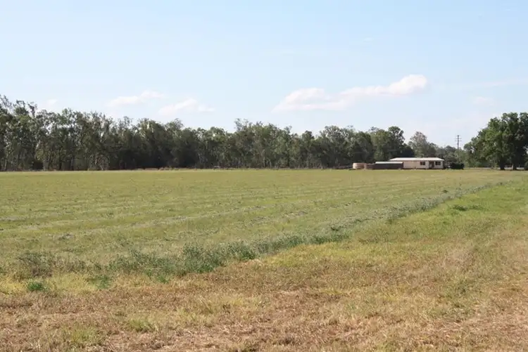 Seventh view of Homely rural property listing, "Shed Block" Loakes Road, Mundubbera QLD 4626