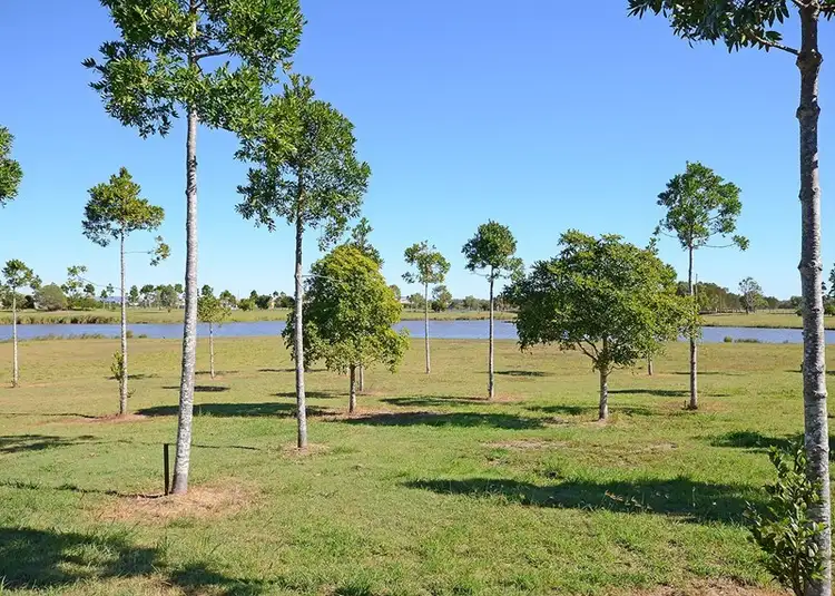 7 Brolga Court, Eli Waters QLD 4655