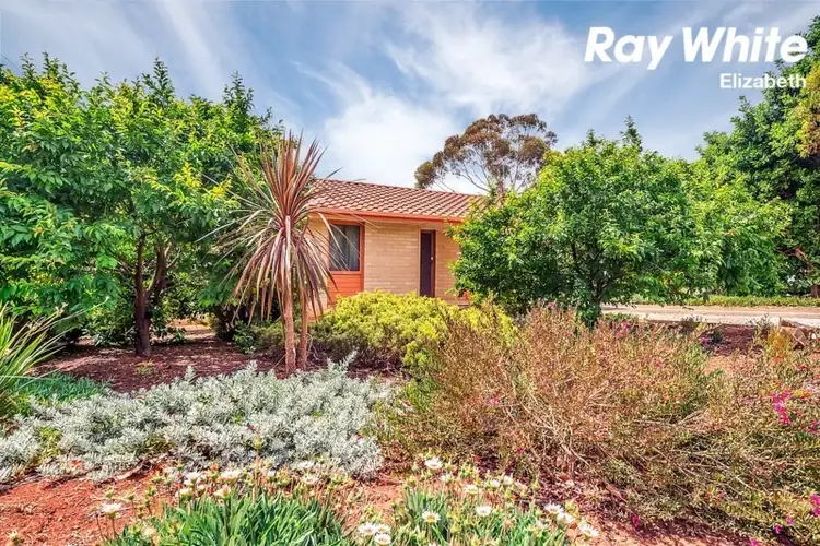 Third view of Homely house listing, 41 Pipkin Road, Elizabeth East SA 5112