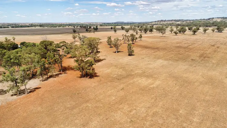 Seventh view of Homely rural property listing, "Cumboogle" 6L Benelong Road, Dubbo NSW 2830