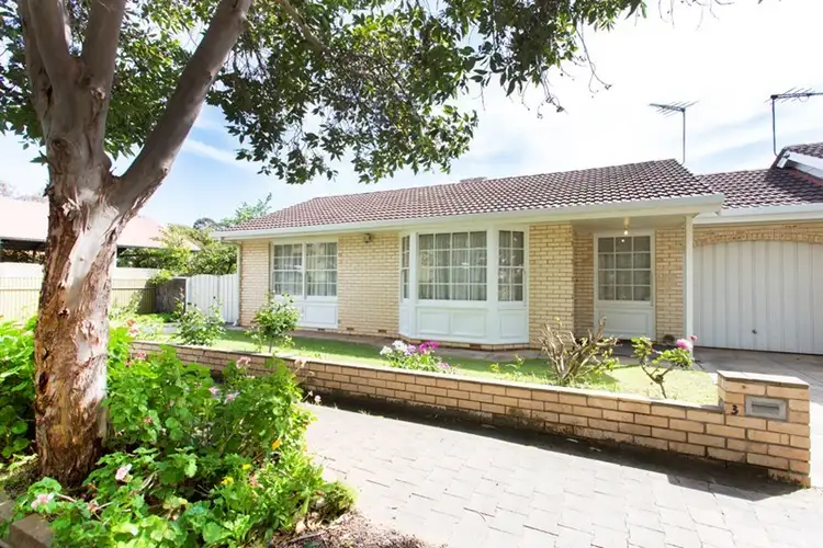 Main view of Homely unit listing, 3/97 Wattle, Fullarton SA 5063