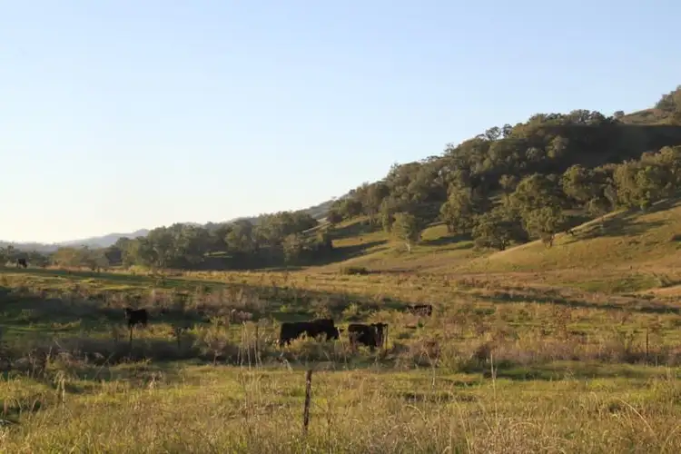 Fifth view of Homely rural property listing, 97 Woolomin Gap Road, Woolomin NSW 2340