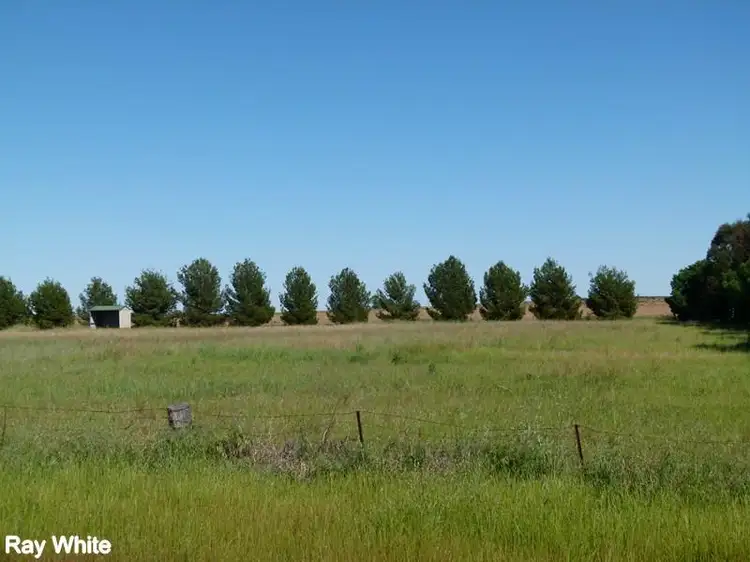 Main view of Homely land listing, 331A Calarie Road, Forbes NSW 2871