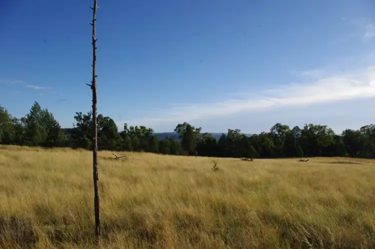 Seventh view of Homely rural property listing, Address available on request