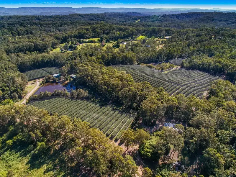 Main view of Homely rural property listing, 302 Sippy Creek Road, Ilkley QLD 4554