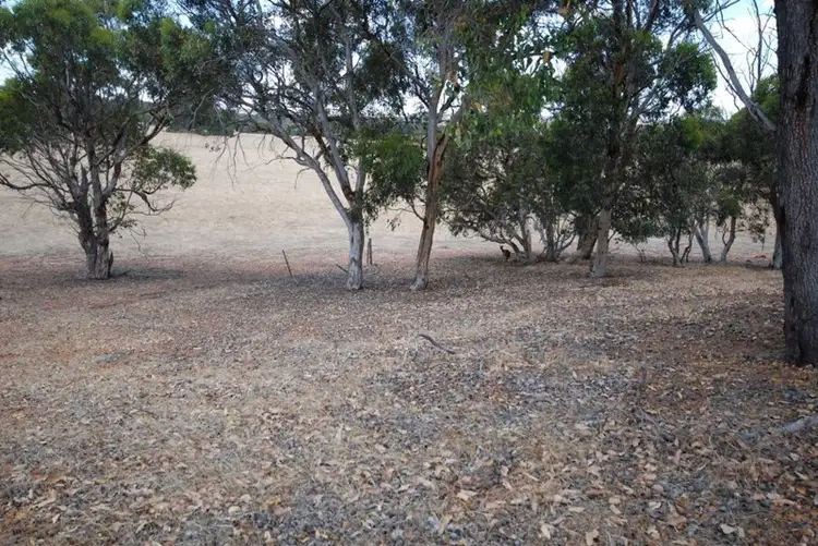 Lot 175 Cnr Katta and Narrakine Road South, Narrogin WA 6312