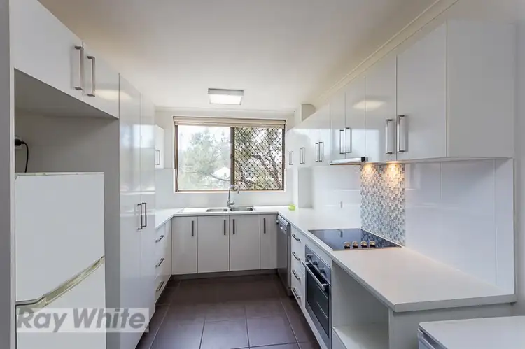 3/31 Kent Street, Coorparoo QLD 4151