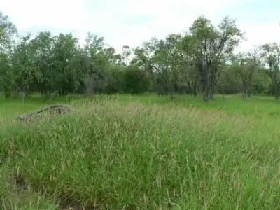 Main view of Homely land listing, Lot 3 Frames Lane, Blackall QLD 4472