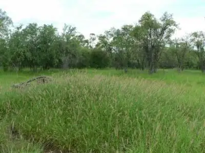 Main view of Homely land listing, Lot 3 Frames Lane, Blackall QLD 4472