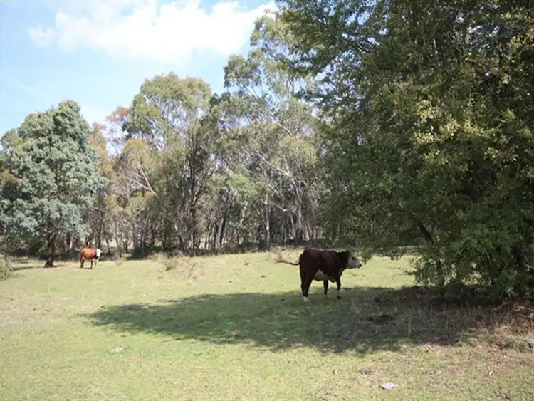 Second view of Homely rural property listing, 42 Muirs Road, Oberon NSW 2787