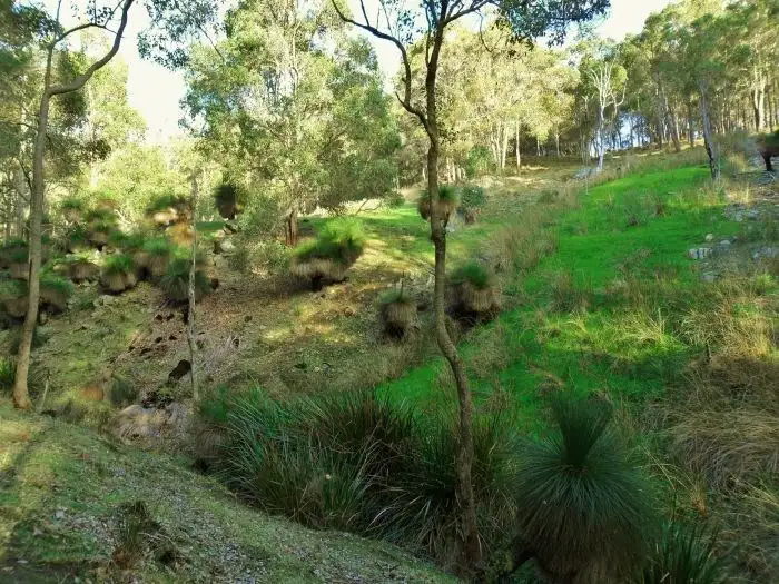 Seventh view of Homely rural property listing, 3 Halleys Road, Nannup WA 6275