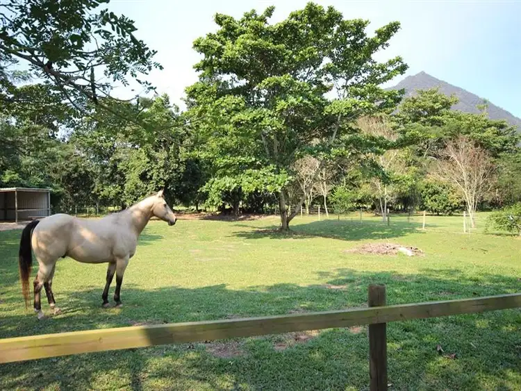 74 - 76 Dempsey Street, Gordonvale QLD 4865