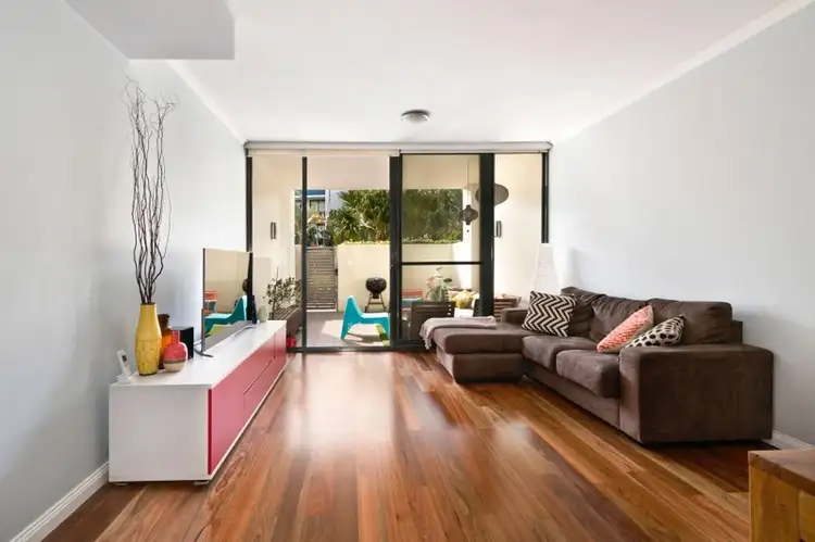 217/221 Sydney Park Road, Erskineville NSW 2043