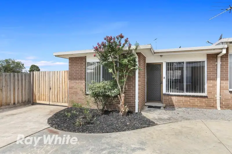 Main view of Homely unit listing, 3/21 Calvert Street, Hamlyn Heights VIC 3215