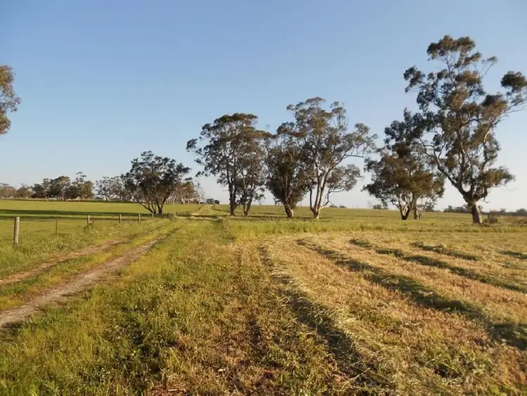 Fifth view of Homely land listing, Lot 101 Finlayson Road, Bordertown SA 5268