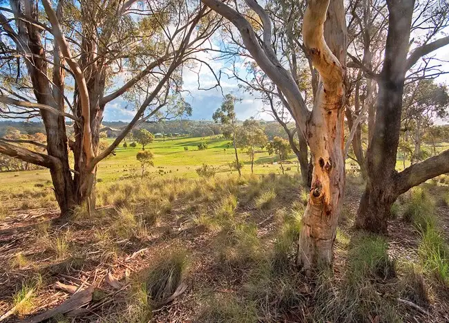 Third view of Homely house listing, 393 Weeroona Drive, Wamboin NSW 2620