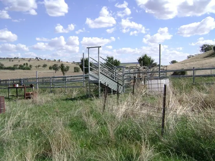 Fifth view of Homely rural property listing, 16 Warrendale Road, Koorawatha NSW 2807