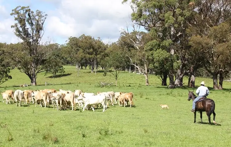 Lot 162 Billirimba Road, Tenterfield NSW 2372