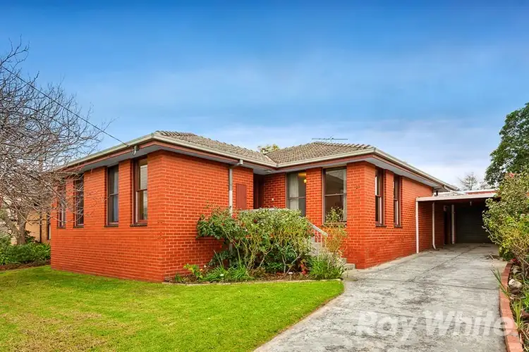 21 Wallabah Street, Mount Waverley VIC 3149