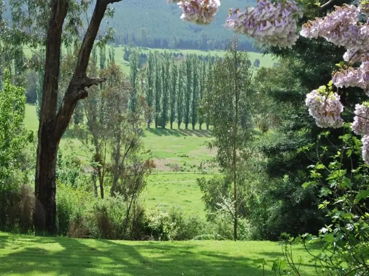 Fourth view of Homely rural property listing, 398 Nug Nug Road, Myrtleford VIC 3737