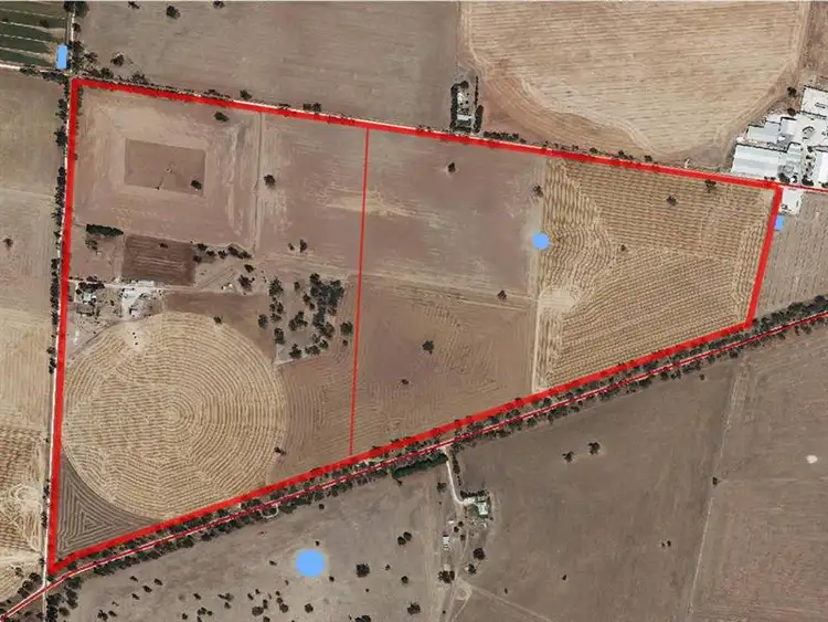 Second view of Homely rural property listing, 76 Billy Lane, Bordertown SA 5268