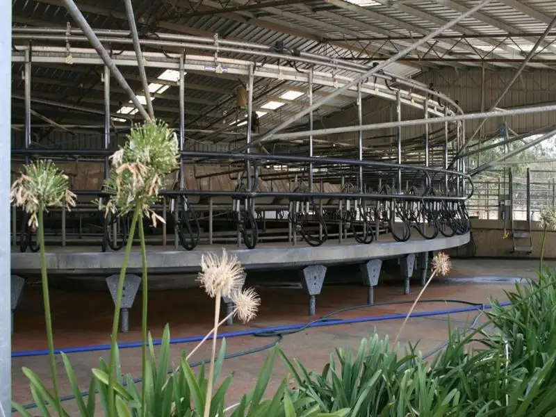 Main view of Homely rural property listing, 328 Yallook Mail Road, Dingee VIC 3571