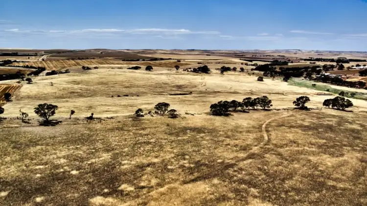 Third view of Homely rural property listing, "Tarnma Block" Curio Highway, Hampden SA 5374