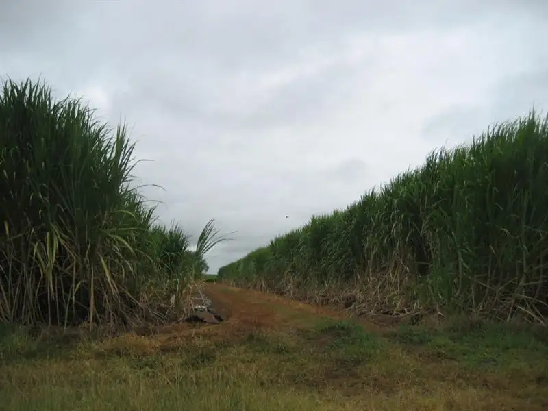 Main view of Homely rural property listing, Address available on request