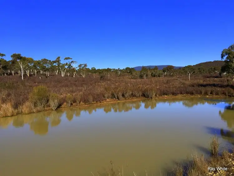 Fourth view of Homely rural property listing, 34 Farringdon, Braidwood NSW 2622