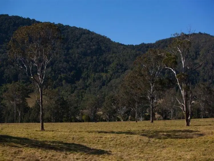 Sixth view of Homely rural property listing, 846 Toms Creek Road, Ellenborough NSW 2446
