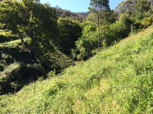 Sixth view of Homely rural property listing, 821 Mitta North Road, Eskdale VIC 3701