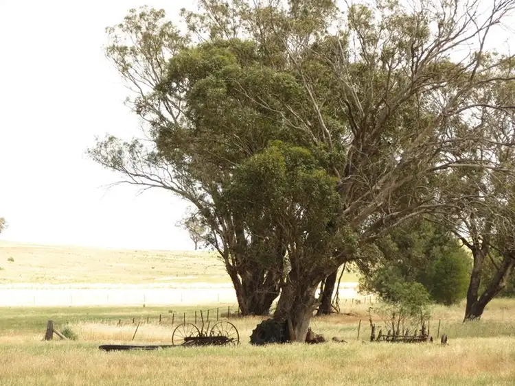 Fifth view of Homely rural property listing, Lot 2 DP826752 Grogan Road, Stockinbingal NSW 2725