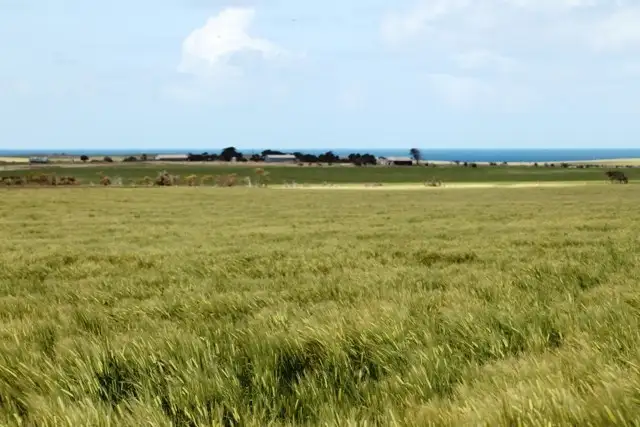 Fourth view of Homely rural property listing, sec 82 hundred dixson, Port Neill SA 5604