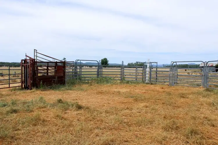 Seventh view of Homely rural property listing, " Irragappa, Bellata NSW 2397