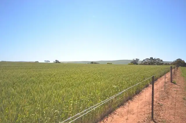 Second view of Homely rural property listing, Lots 21-25, 94 Sod Hut Road, Farrell Flat SA 5416