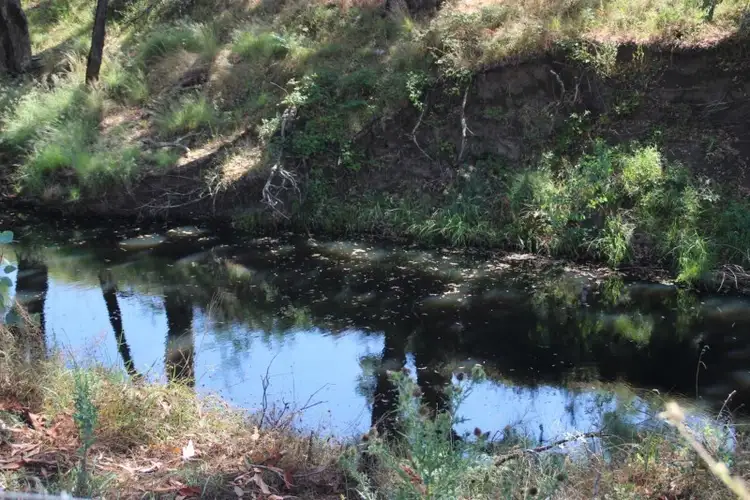 Fourth view of Homely rural property listing, 256 TIMOR Road, Coonabarabran NSW 2357